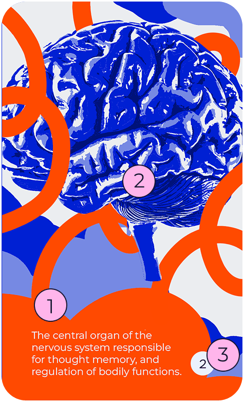 Frente do cartão de estudo médico