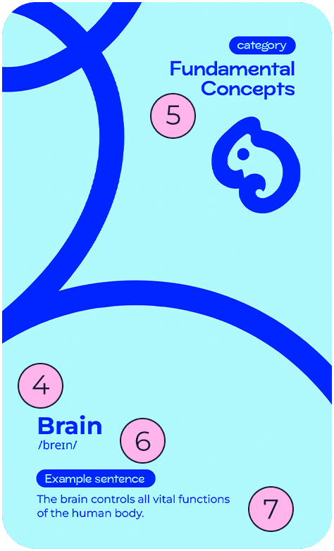 Verso do cartão de estudo médico